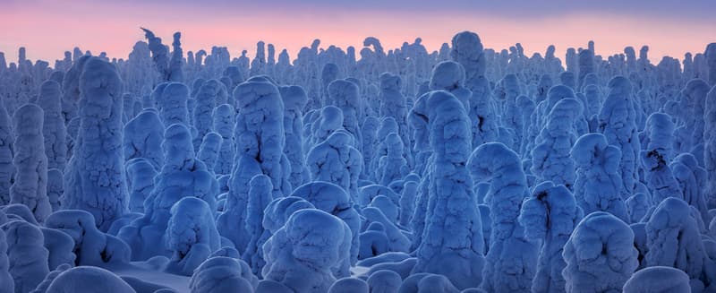 Travel Photographer of the Year 2019 Photographie