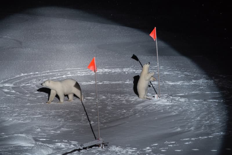 Photos World Press Photo 2020