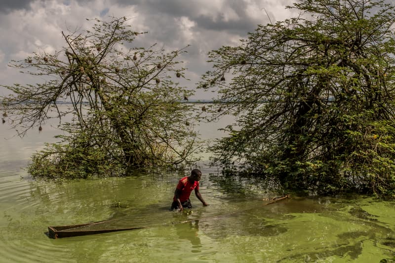 Photos World Press Photo 2020