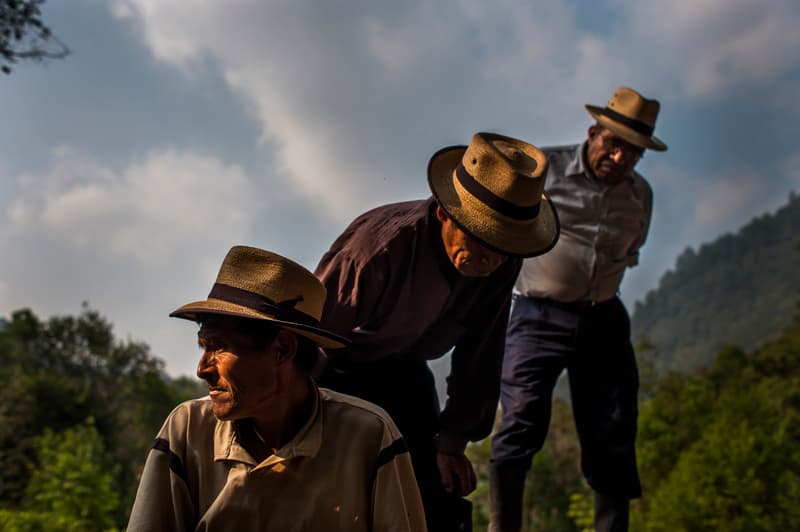 Photos World Press Photo 2020