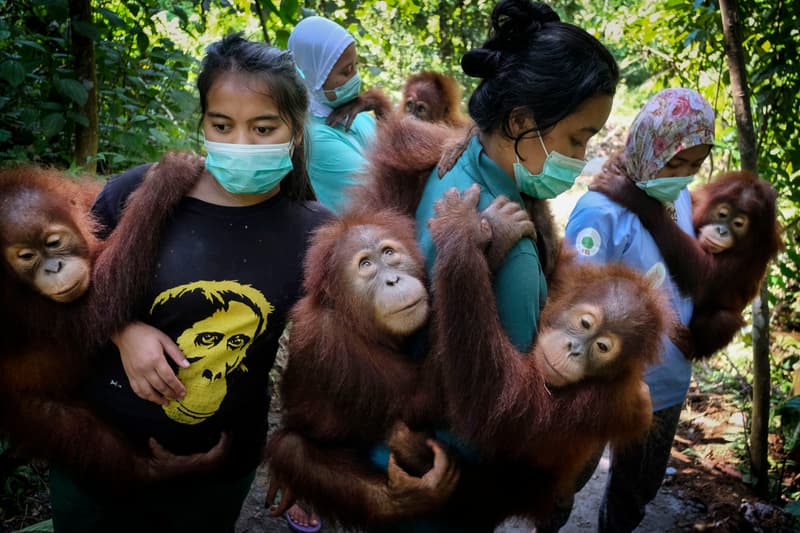 Photos World Press Photo 2020