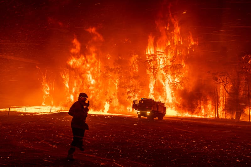 Photos World Press Photo 2020