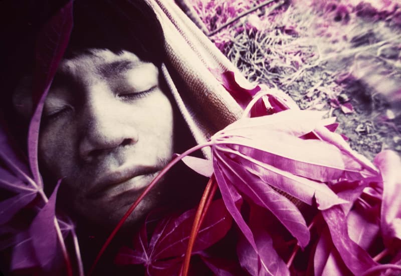 Fondation Cartier Claudia Andujar exposition