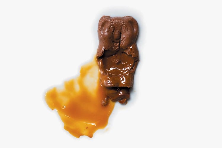 41 artistes australiens lancent une campagne magistrale pour sensibiliser aux incendies qui dévastent le pays