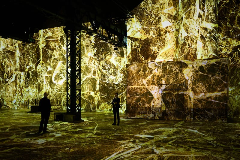 L'art digital contemporain mis à l'honneur lors d'une exposition à Paris