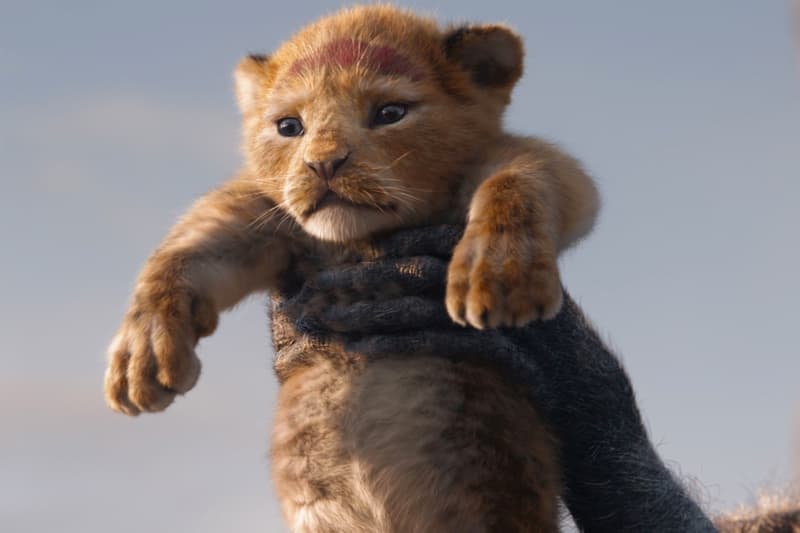 Le roi lion film canal+