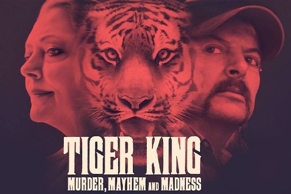 Le meilleur de Netflix en ce moment