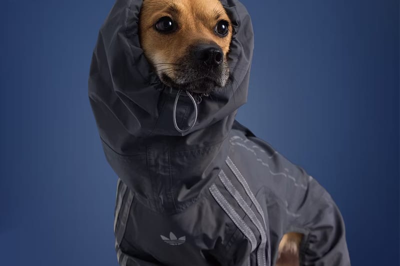 adidas enrichit sa collection pour animaux de compagnie avec de nouveaux essentiels d’automne