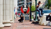 VOLCOM WILD IN THE PARKS -- Stop 8 - Caswell's Choice - Norfolk, VA