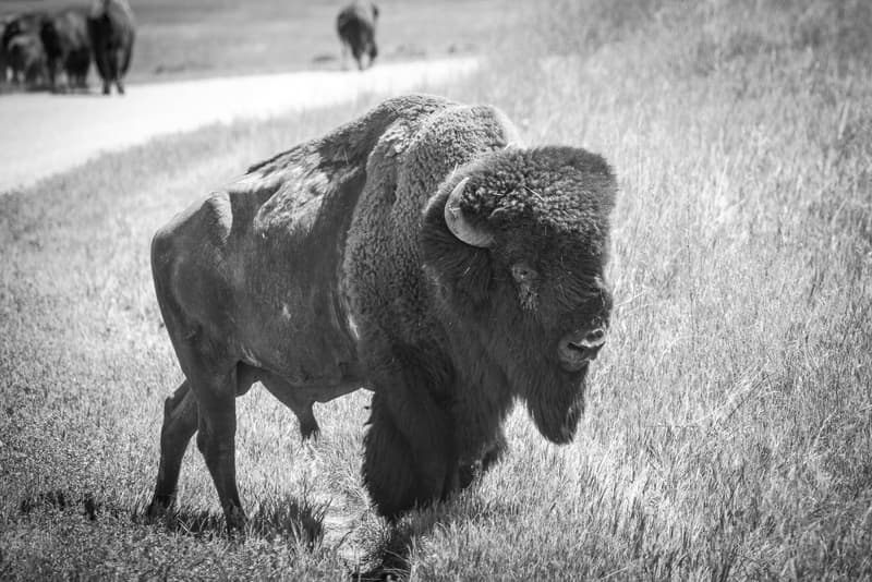 IN PHOTOS -- Skateboarding In Pine Ridge