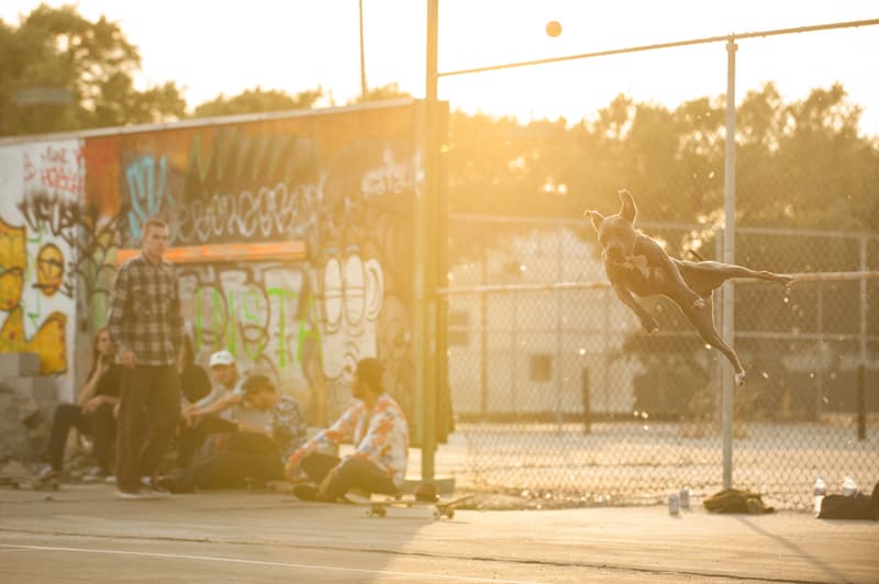 Levi's 501 Trip -- Photo Gallery
