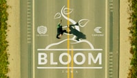 Bloom: Iowa | Cariuma Visits The Largest Skatepark In America
