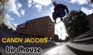 Candy Jacobs Olliebiëst Part for Birdhouse Skateboards