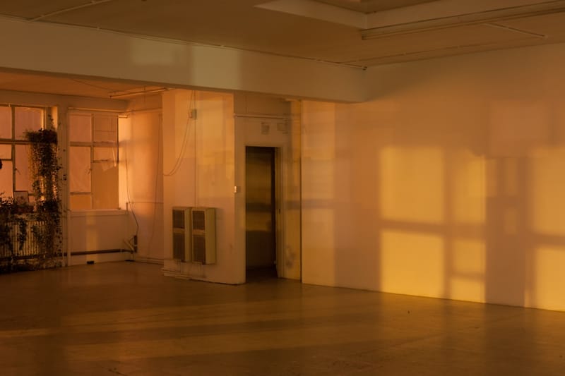 Wolfgang Tillmans Reflects on Time and Temporality in New Exhibition