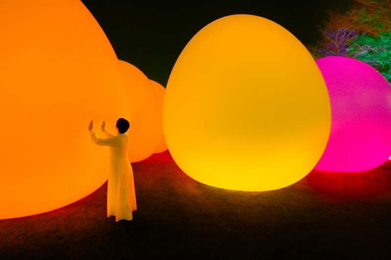 teamLab Resonating Ovoids and Trees Outdoor Exhibition Hong Kong Info