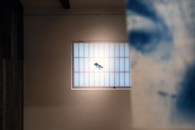 Joy BC and Olivia Rose Explore Intimacy in 'Lovers Eye' Exhibition