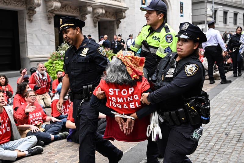 Artists Nan Goldin and Molly Crabapple Arrested at Pro-Palestine Demonstration in NYC