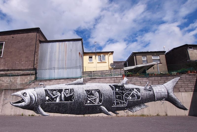 Phlegm’s Fish Painting in Ireland