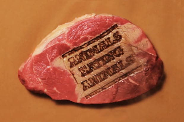 Animals Eating Animals 美食系列第一集： Do or Dine 招牌 Foie Gras Donuts 鵝肝甜甜圈視頻短片！