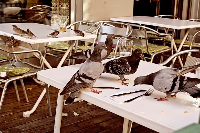 UNIVERSAL WORKS x C-Store Mod Parka 別注外套