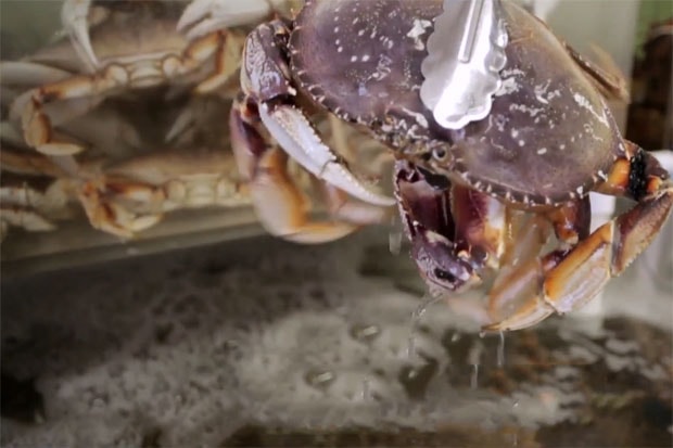 《Fresh Off The Boat》第二集﹣Eddie Huang 與 Rice Paper Scissors 兩位主腦了解越南本土飲食文化