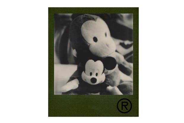 PX 600 Silver Shade Edition by NIGO 底片系列