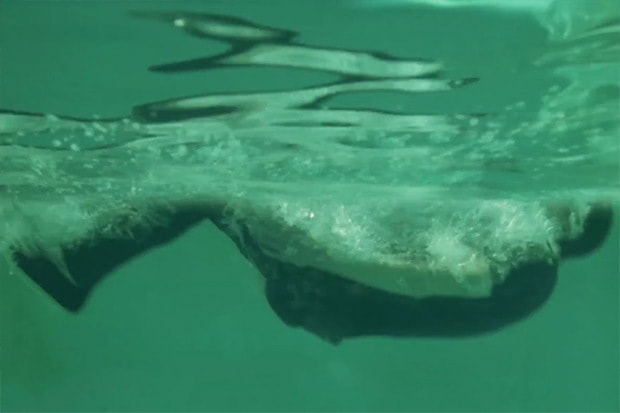 Mollusk 與 Generic Surplus 共同打造 ‘Shoes for the Subconscious’