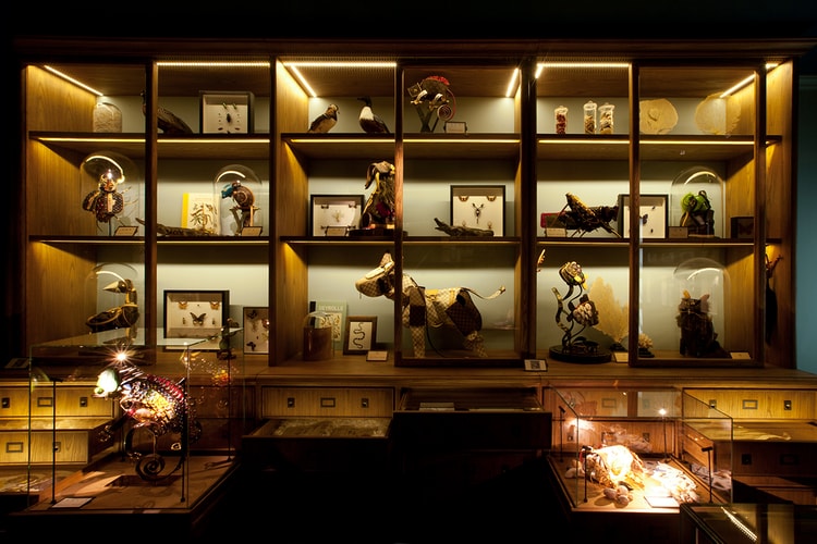 路易威登 Louis Vuitton 於深圳打造 “Traveling Curiosities” 裝置藝術展覽