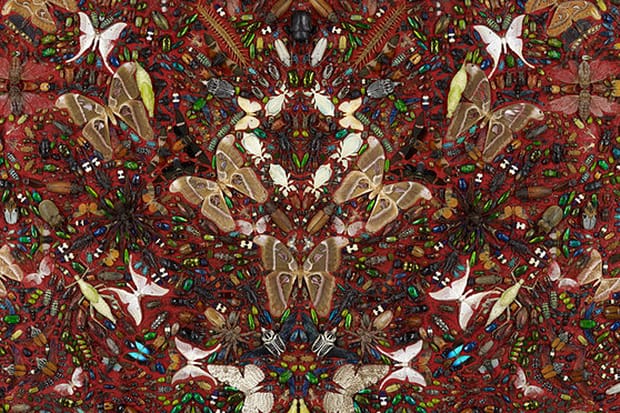 Damien Hirst 將與 Alexander McQueen 合作打造絲巾系列