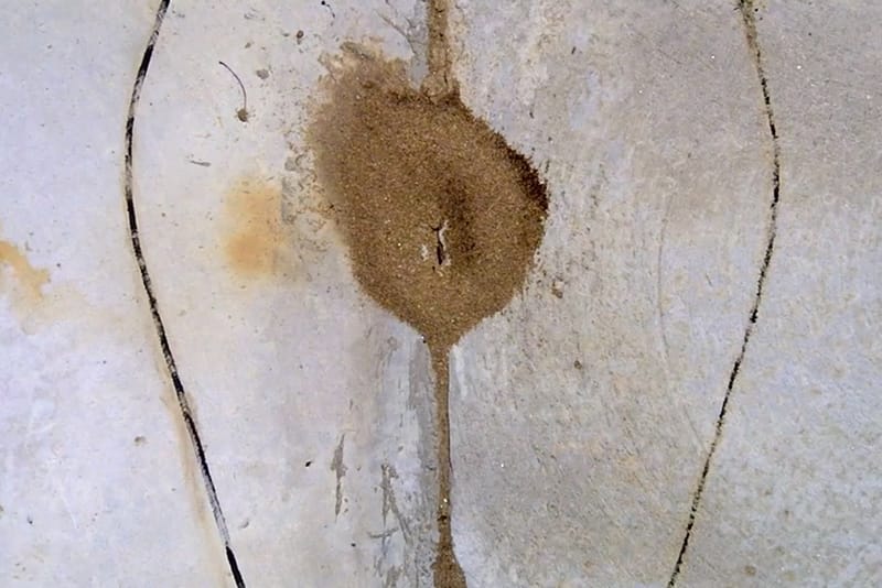 Banksy 於 Staten Island 創作藝術企劃「Better Out Than In」最新作品