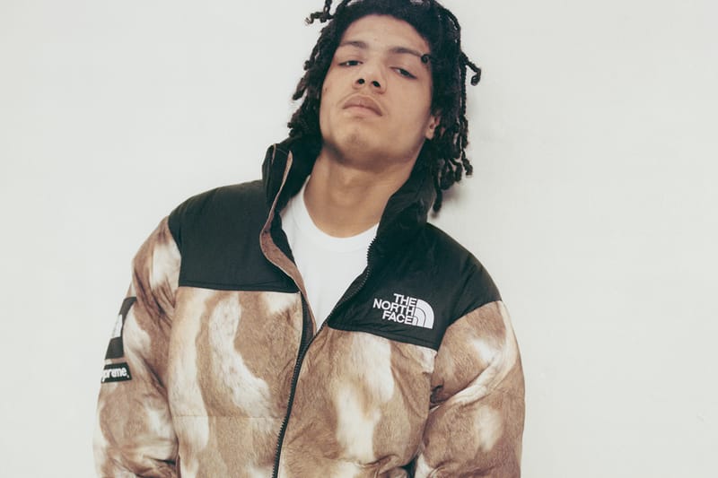 Supreme x The North Face 2013 秋冬系列