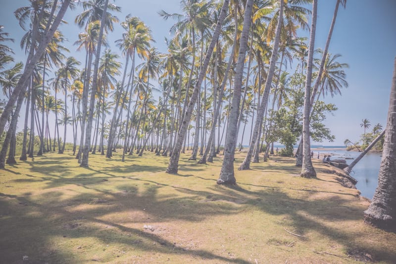 THROUGH THE LENS: 攝影師 Tomek Makolski