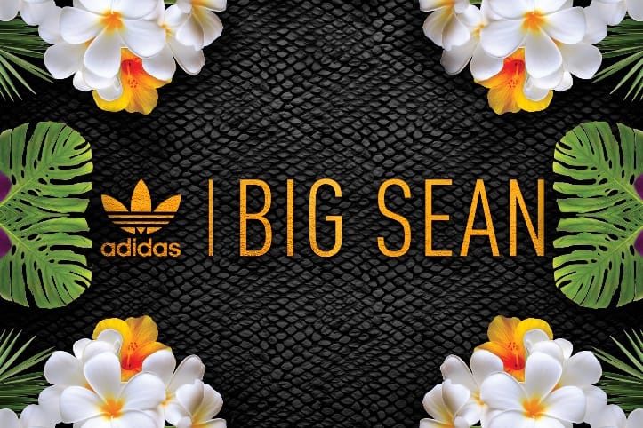 Big Sean x adidas Originals 2014 秋冬聯乘系列預覽