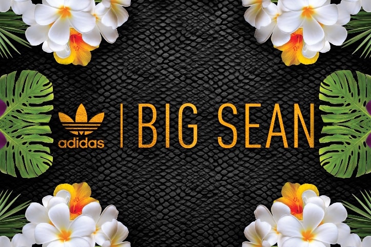 Big Sean x adidas Originals 2014 秋冬聯乘系列預覽