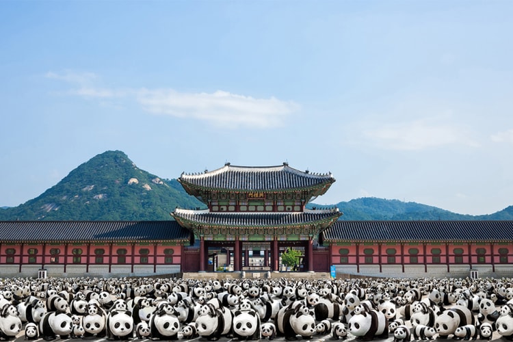 「1600 熊猫游韩国」裝置藝術展