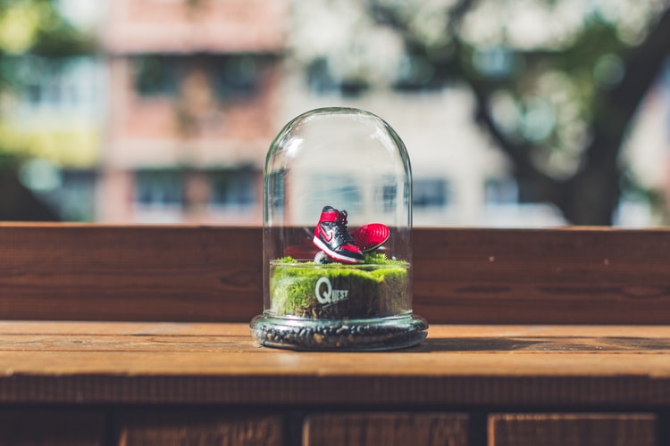 Quest Terrarium x WOAW Air Jordan 盆景 D.I.Y. 工作室開催