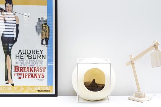 meyou 為寵物貓打造家具「三件套」