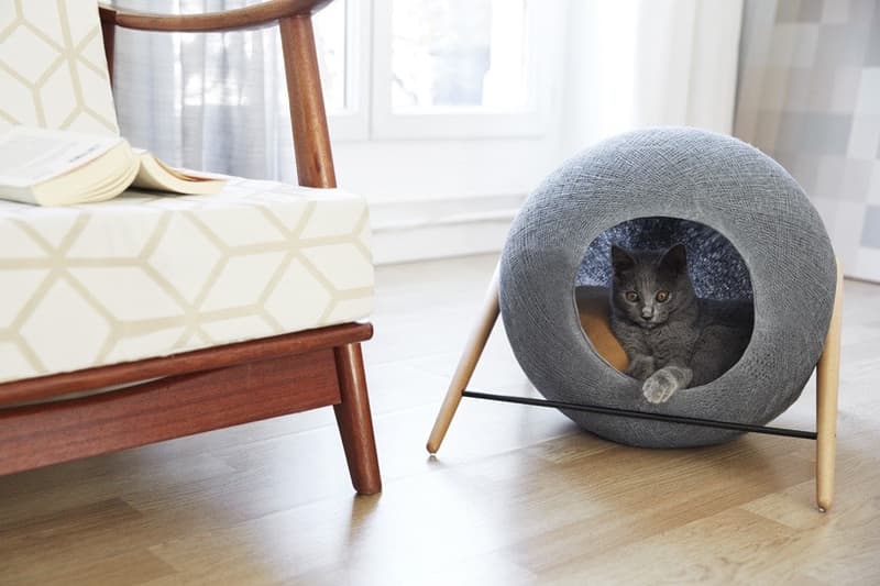 meyou 為寵物貓打造家具「三件套」
