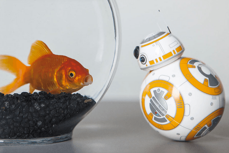 新《星戰》BB-8 遙控玩具登陸香港