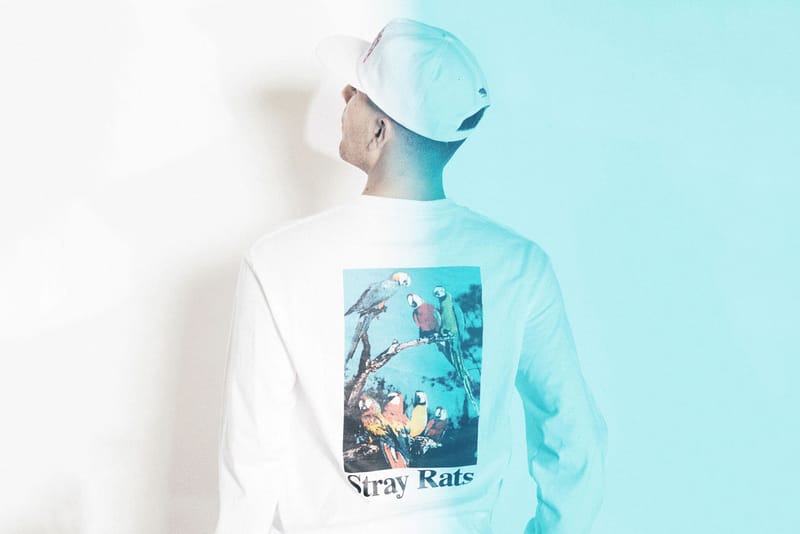 STRAY RATS 2015 秋冬系列 Lookbook