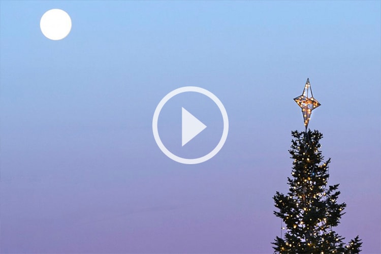 19 年一遇!「舉頭望滿月」之聖誕夜