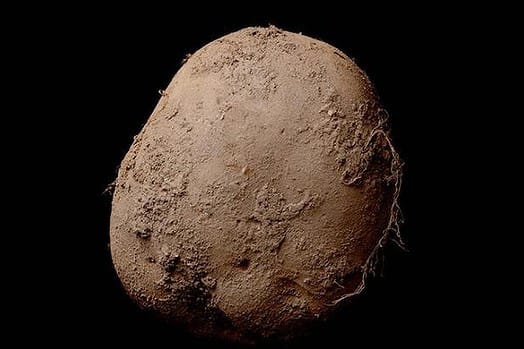 世上最貴！8,470,000 港元「薯仔 Portrait 」照片，成交