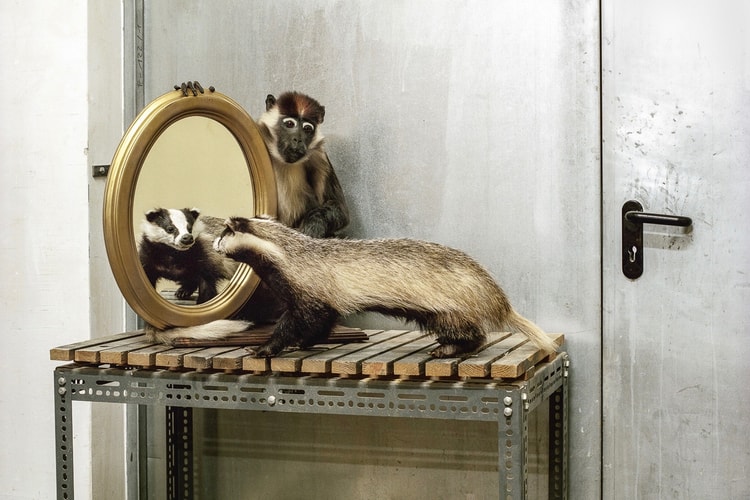 Klaus Pichler 呈現維也納自然「博物館奇妙夜」