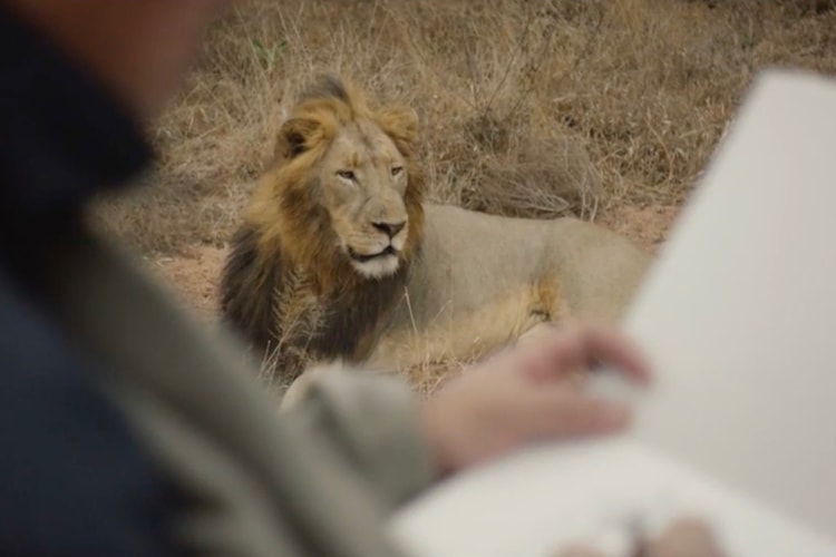 Louis Vuitton 携手中國現代主義畫家劉小東開啟「Travel Book」南非之旅