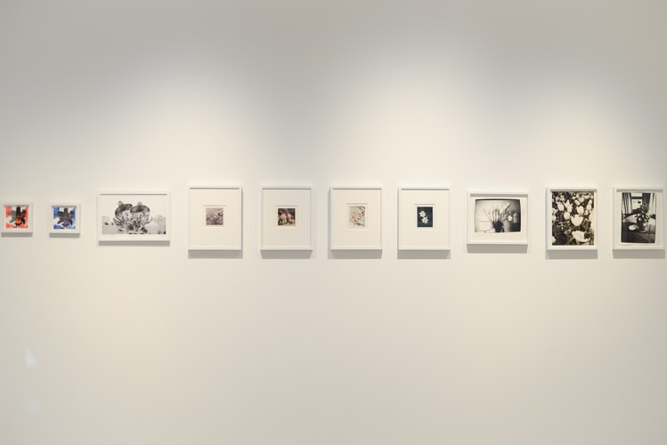 化身大學講師的藤原浩,與學生聯手打造最時尚的花卉藝術展覽