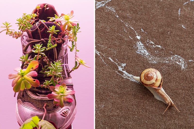 用球鞋作盆景、以蝸牛作畫？！走進 Michel Blazy 東京藝術展《Living Room II》