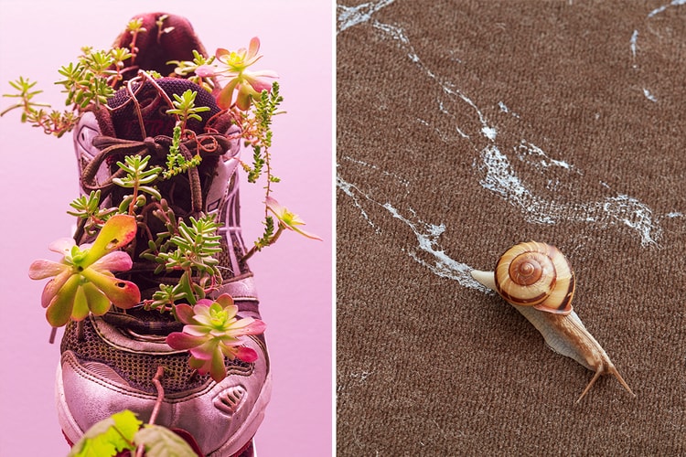 用球鞋作盆景、以蝸牛作畫?!走進 Michel Blazy 東京藝術展《Living Room II》