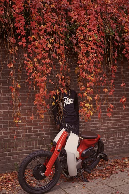 Patta Converse Essentials