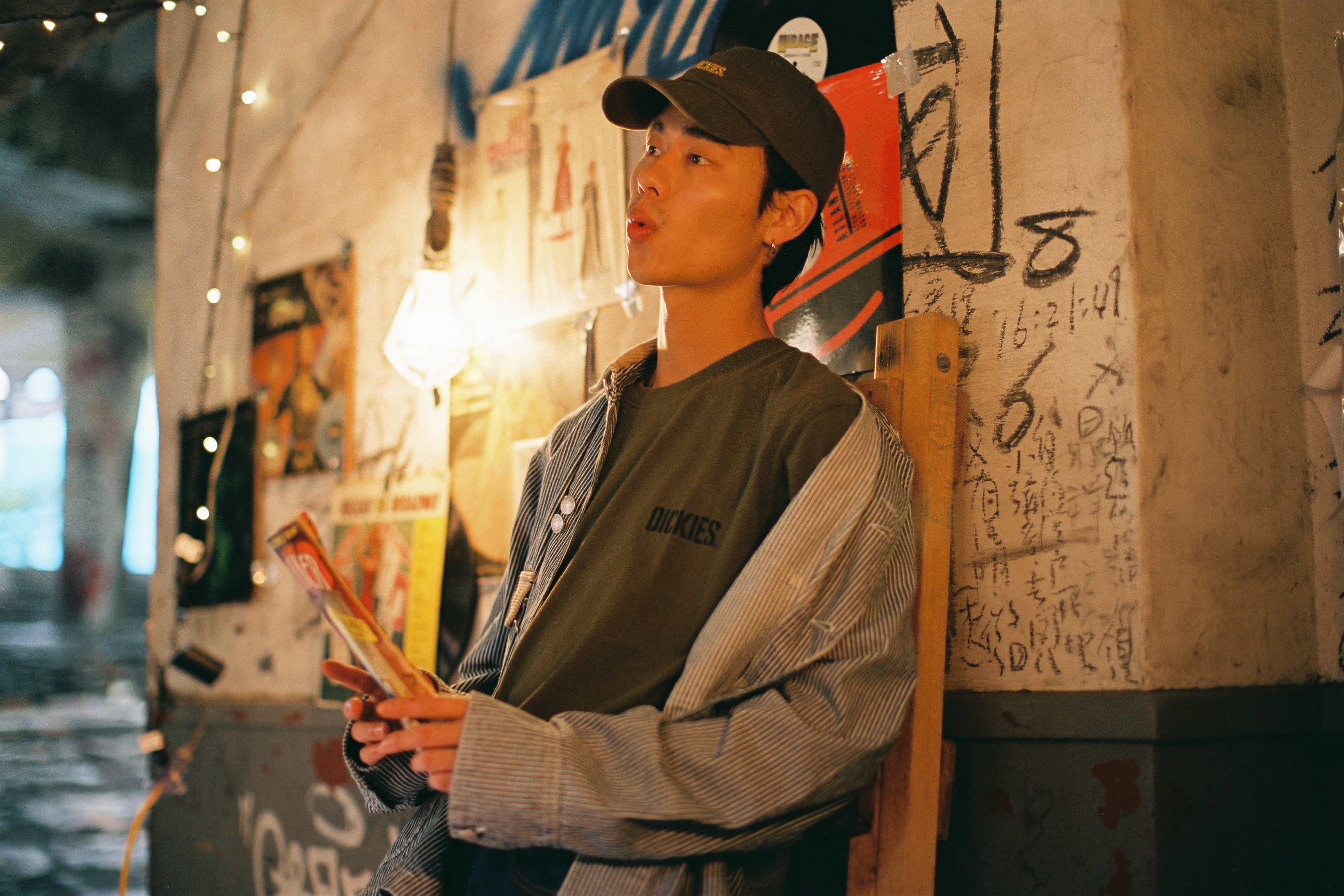 Dickies Asia Line 2016 AW Collection Lookbook