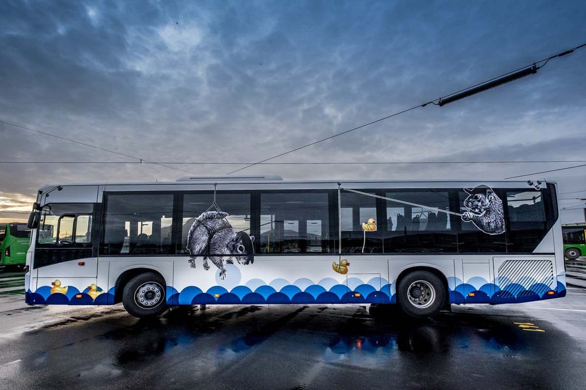 Street Art Buses in Stavanger Norway